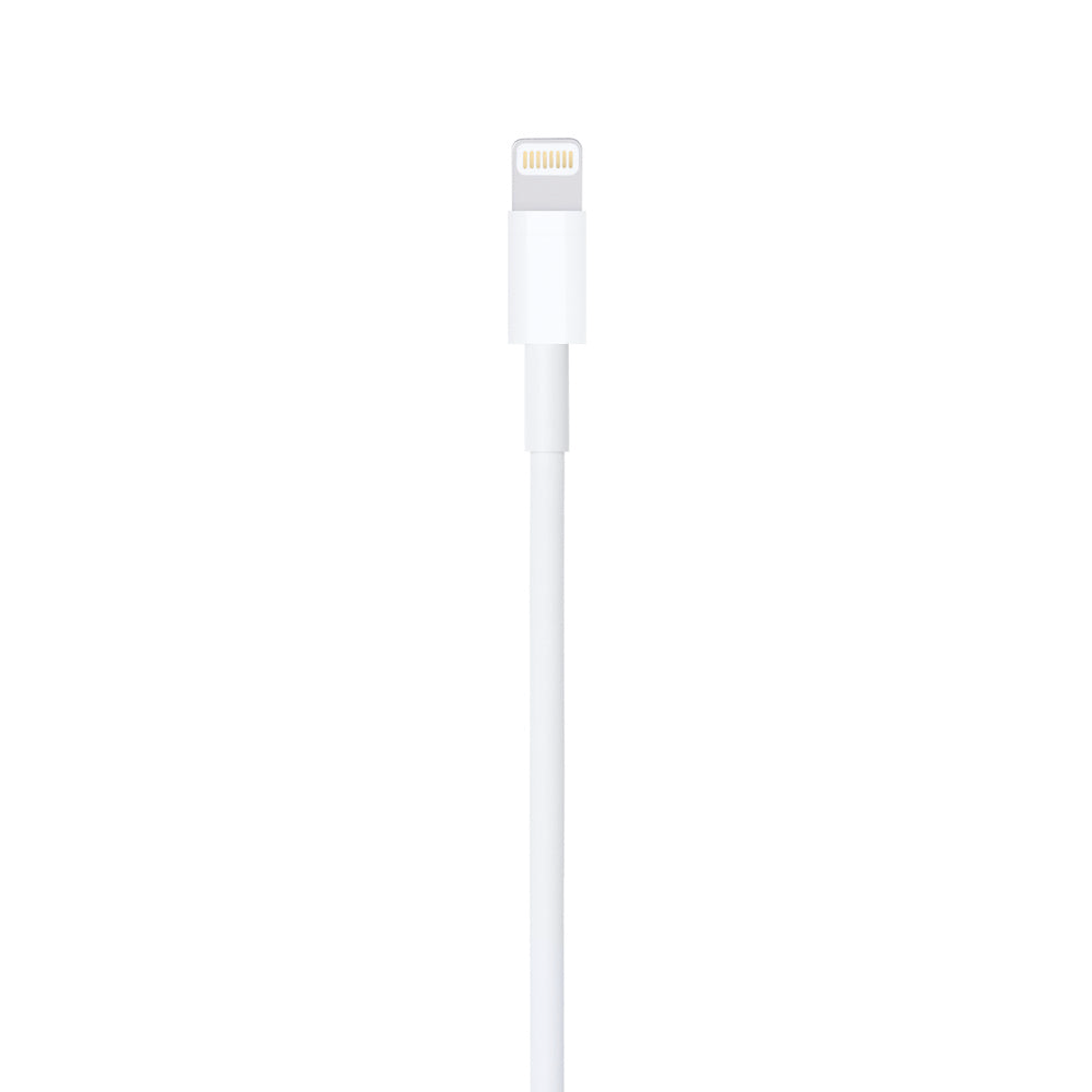 iCenter Lightning to USB Cable (1 m)
