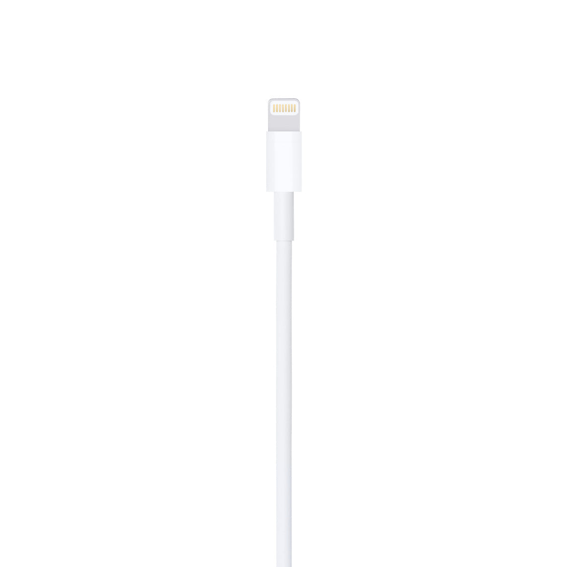 Apple Lightning to USB Cable (1 m)