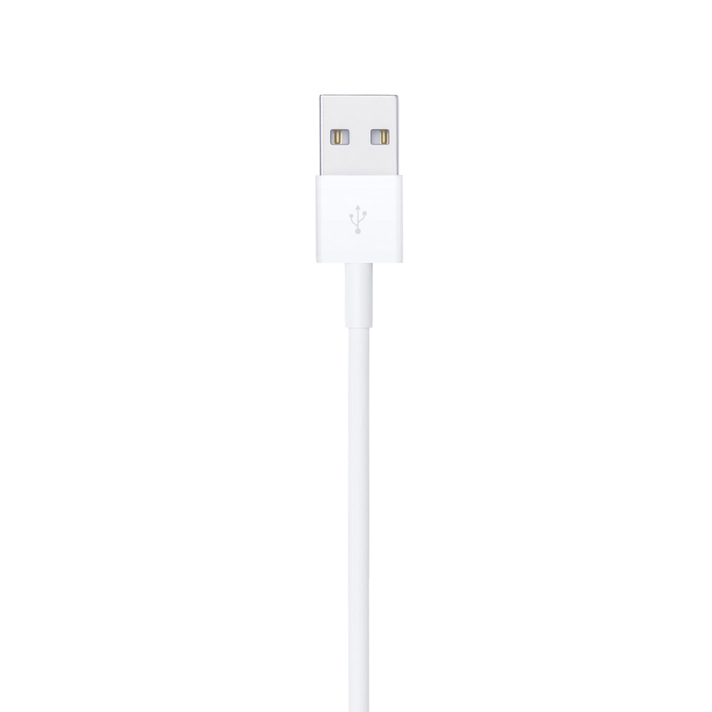 iCenter Lightning to USB Cable (1 m)