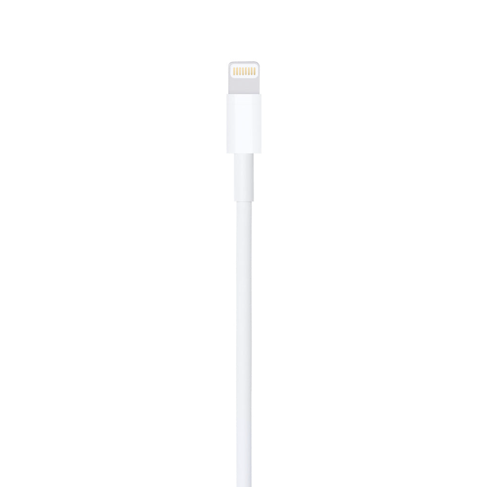 iCenter Edition Lightning to USB Cable (1 m)